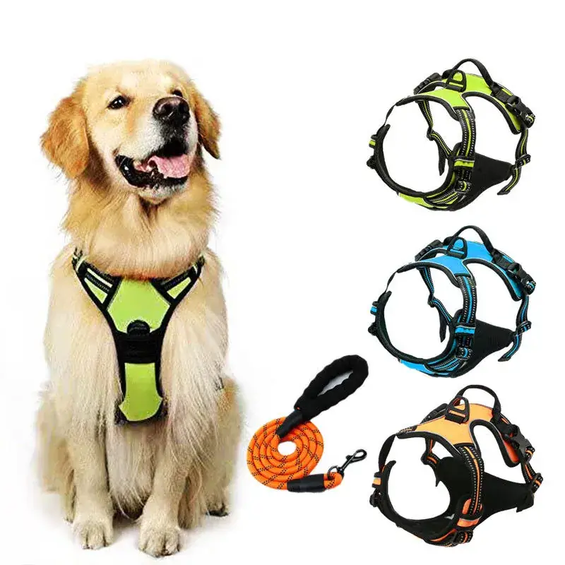 Dog wearing a reflective harness, with matching lead and harness options
