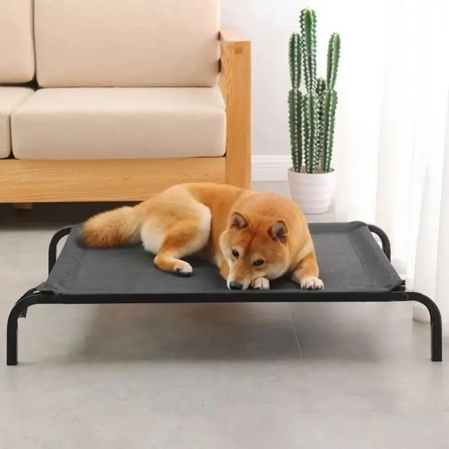 Elevated mesh pet cot shown in a home setting